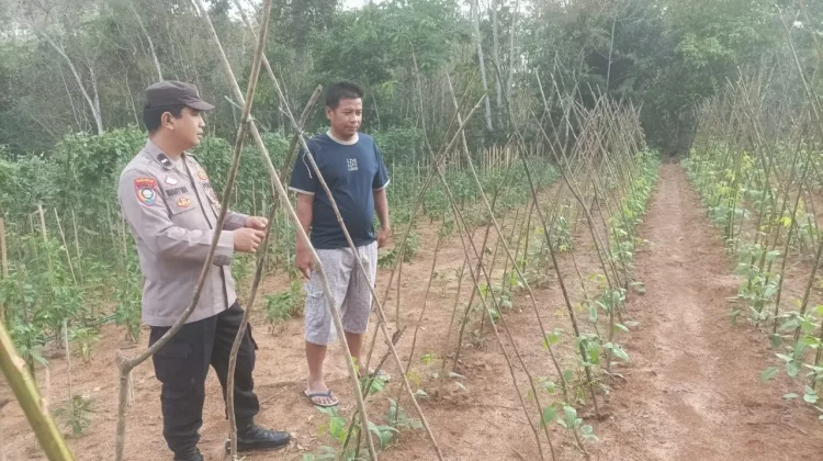 Bhabinkamtibmas Polsek Tanjung Raya Sambang Binluh di Desa Brabasan