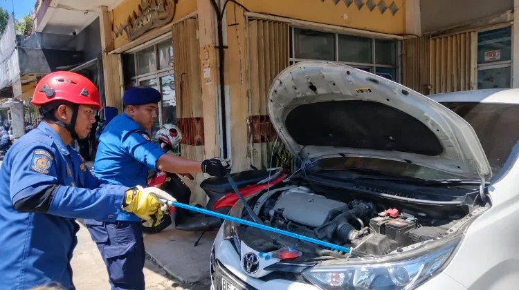 Damkar Bandar Lampung Berhasil Evakuasi Ular Kobra Jawa dari Kap Mesin Mobil