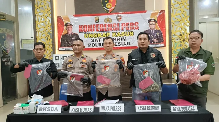 Empat Pembunuh Tapir Dilindungi Ditangkap Polres Mesuji