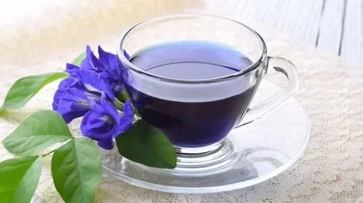 7 Potensi Manfaat Teh Bunga Telang, Minuman Herbal dengan Kandungan Antioksidan
