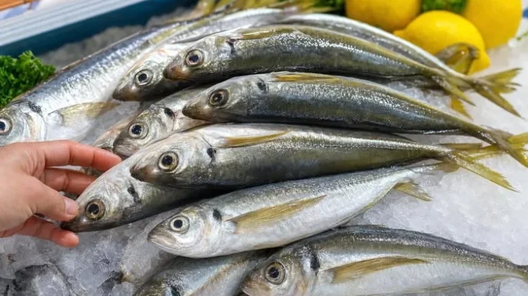 Ikan Gembung Kaya Omega-3, Baik untuk Jantung