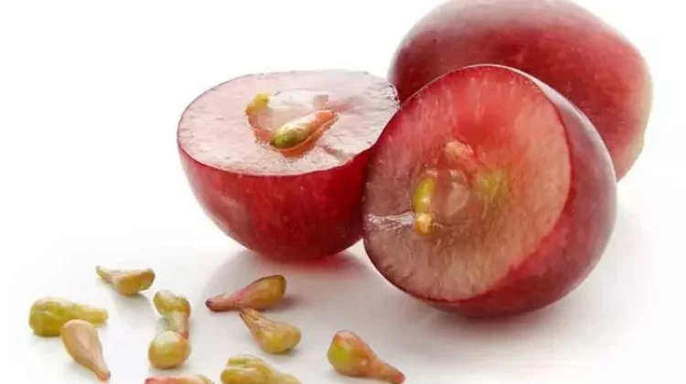 Minyak Biji Anggur Punya Beragam Manfaat