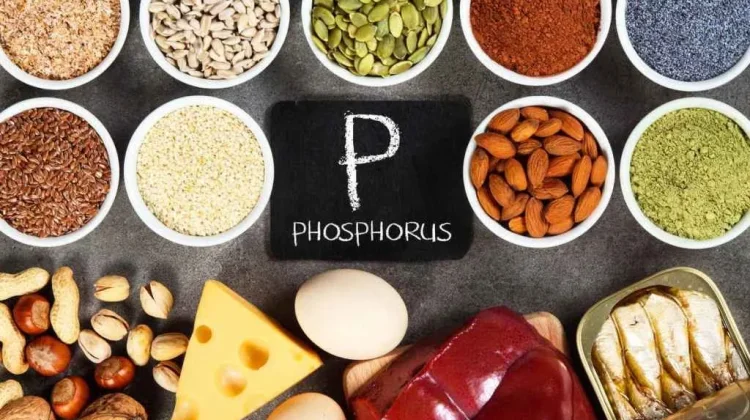Makanan Kaya Vitamin P yang Diyakini Membantu Menurunkan Risiko Penyakit Kronis