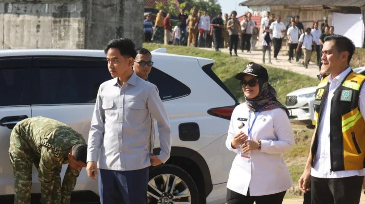 Wapres Tinjau Pembangunan Jembatan Way Bungur di Lampung Timur