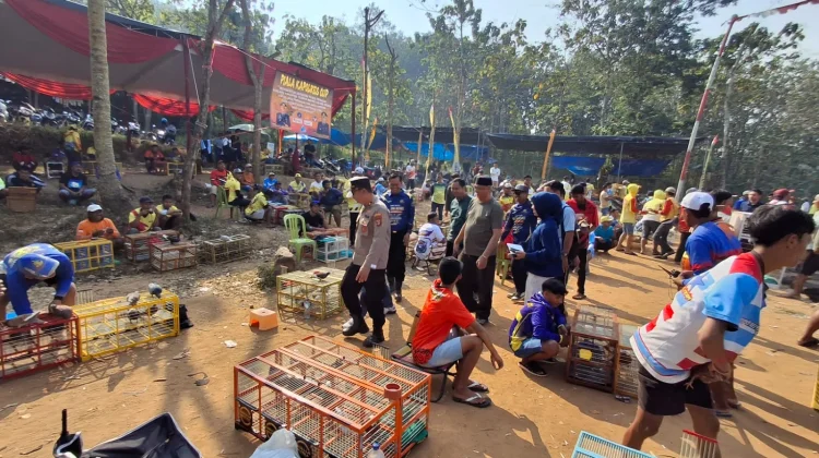 Lomba Merpati Kolong Gerakan Ekonomi Daerah