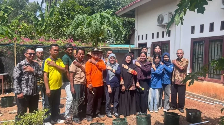Teknologi Irigasi Tetes Otomatis Tingkatkan Efisiensi Air Pertanian Lampung