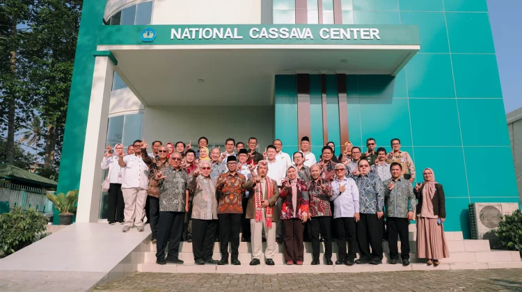 Unila Kembangkan NCC sebagai Pusat Riset Singkong Nasional