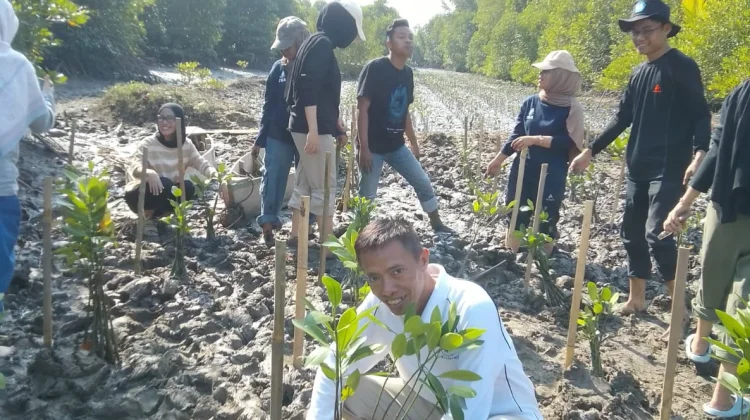 Mitra Bentala Ingatkan Ancaman Kerusakan Mangrove Bagi Nelayan Lampung