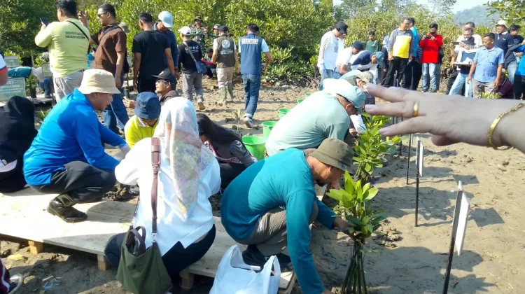 Luas Mangrove Bandar Lampung Terkecil di antara Pesisir Lampung