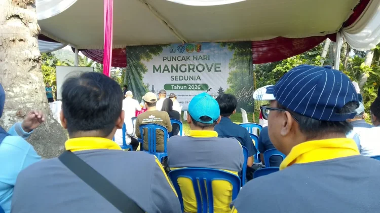 Pemprov Lampung Perkuat Tata Kelola Mangrove Pesisir