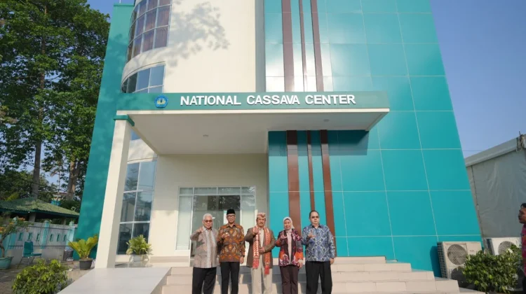 Unila Hadirkan National Cassava Center Dukung Industri Singkong