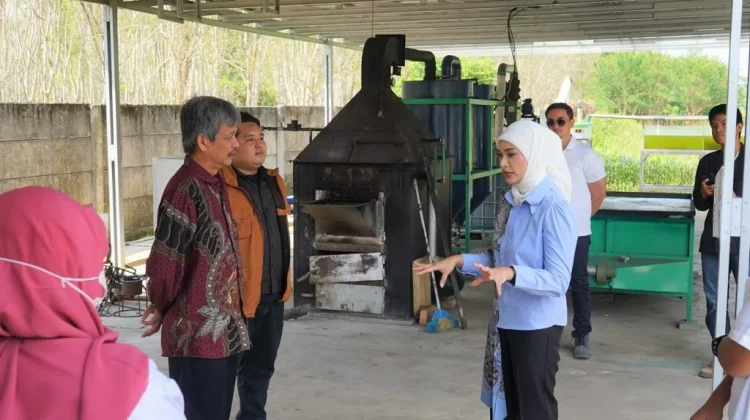 Laboratorium PLTS Satu Megawatt Perkuat Riset Energi Bersih Nasional