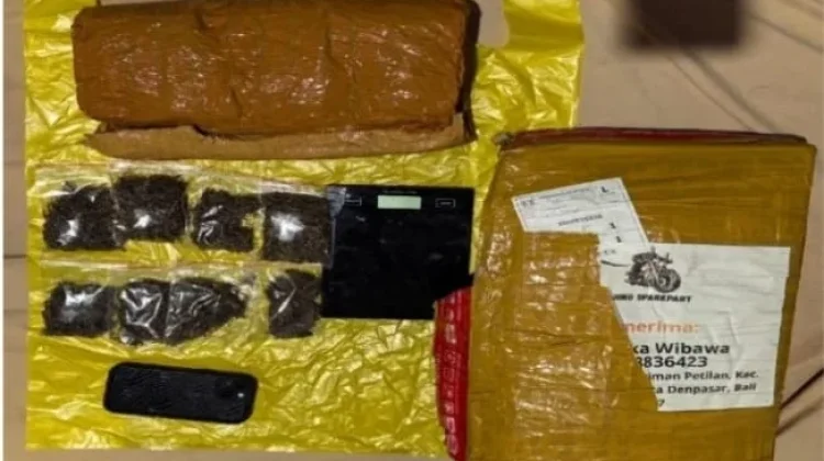 Jaringan Narkoba Medan–Bali Dibongkar, Polda Lampung Sita 6 Kilogram Ganja