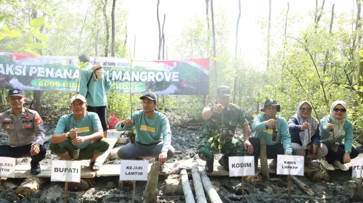 Pemkab Lampung Timur Ajak Seluruh Elemen Masyarakat Jaga Mangrove