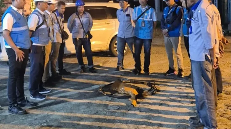 PLN UP3 Pringsewu Gelar Pemeriksaan Penggunaan Listrik Malam Hari