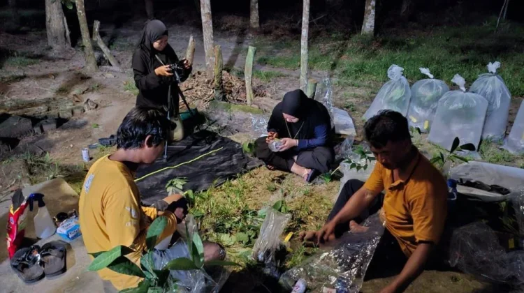 Koleksi Flora Langka Sumatera Bertambah dari Tesso Nilo