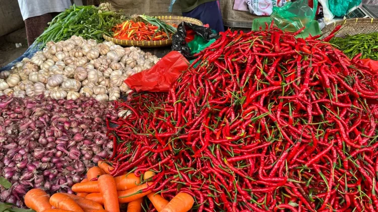 Bawang Merah dan Cabai Picu Deflasi Lampung Juli 2026