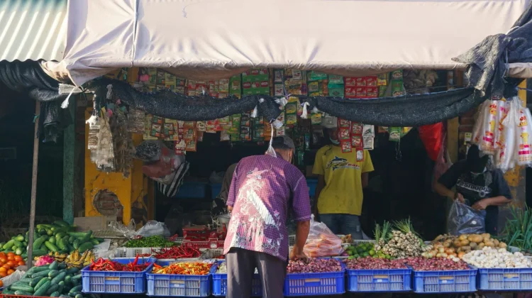 Kenaikan Harga Hasil Panen Dorong Nilai Tukar Petani Lampung