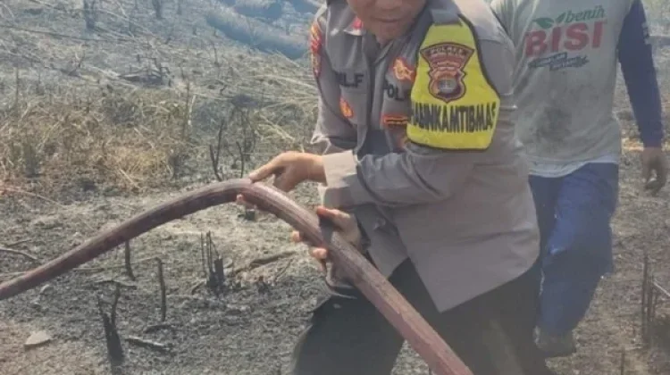 Petugas Gabungan Padamkan Kebakaran Lahan di Jalinsum Kalianda