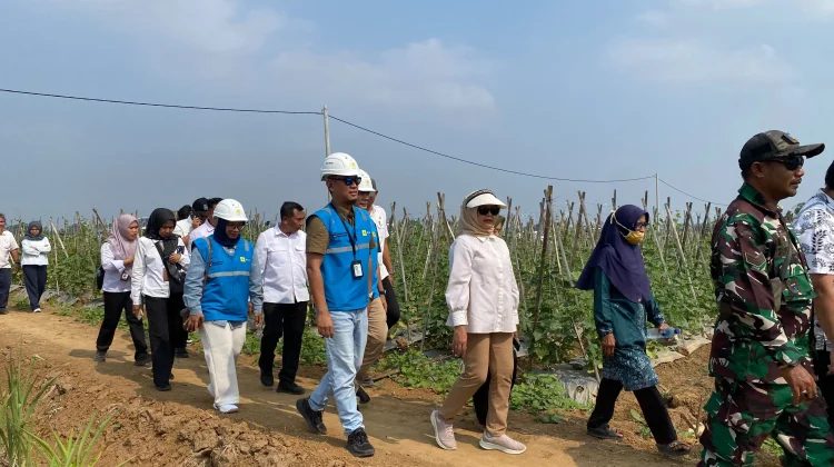 PLN UP3 Metro Perkuat Ketahanan Pangan Lampung Timur lewat Listrik Masuk Sawah