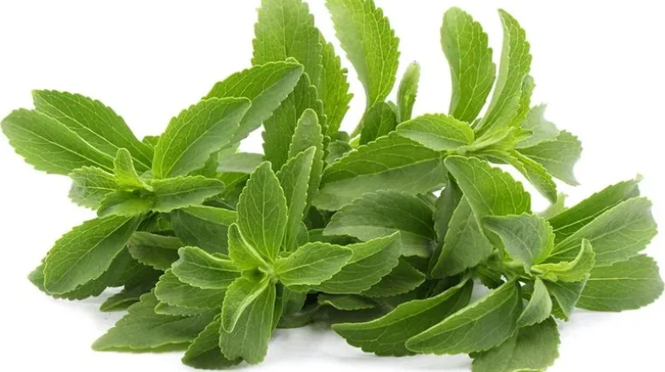 Mengenal Stevia, Pemanis Rendah Kalori Pengganti Gula