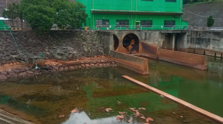 Bendungan Batutegi: Penjaga Air dan Sumber Kehidupan di Tanggamus Lampung