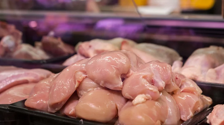 Harga Ayam Ras di Bandarlampung Naik, Pasokan Tetap Aman