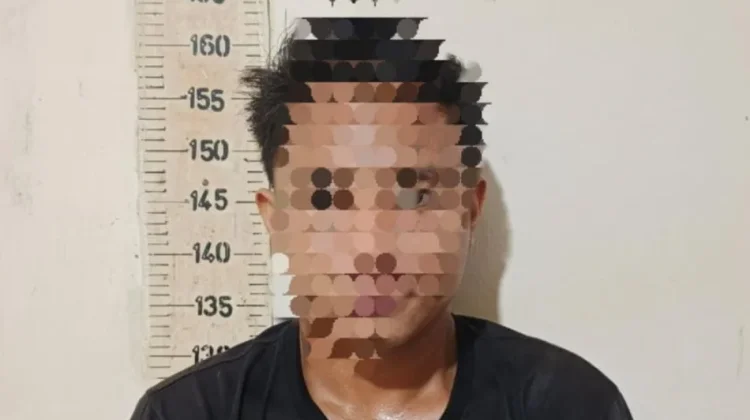 Polisi Ungkap Pencurian 33 Tandan Sawit di Mesuji