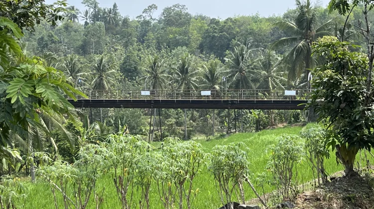 Hampir Seabad, Talang Tua Bumiayu Masih Mengantar Air ke Sawah