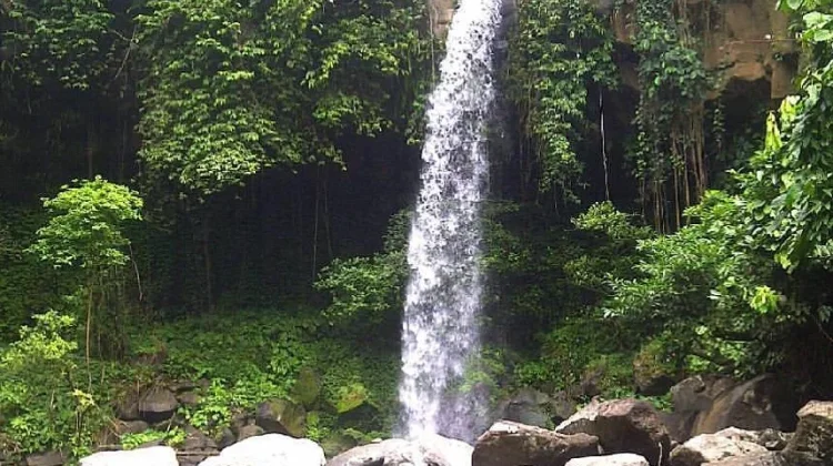 Air Terjun Way Lalaan, Destinasi Wisata Alam Sejuk di Kota Agung Tanggamus