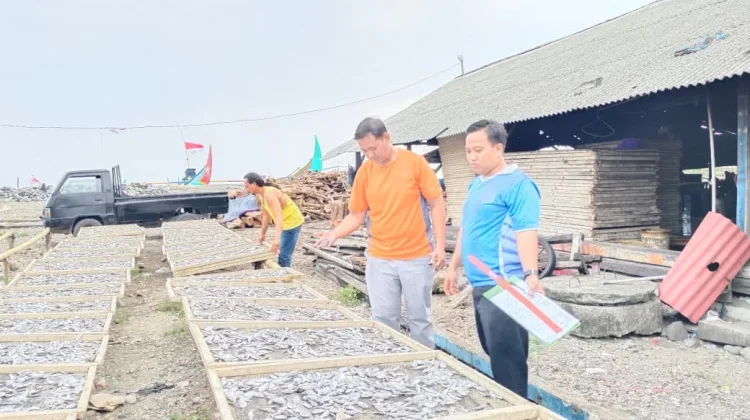 Penjualan Ikan Asin dari Kota Agung Tembus ke Sejumlah Daerah