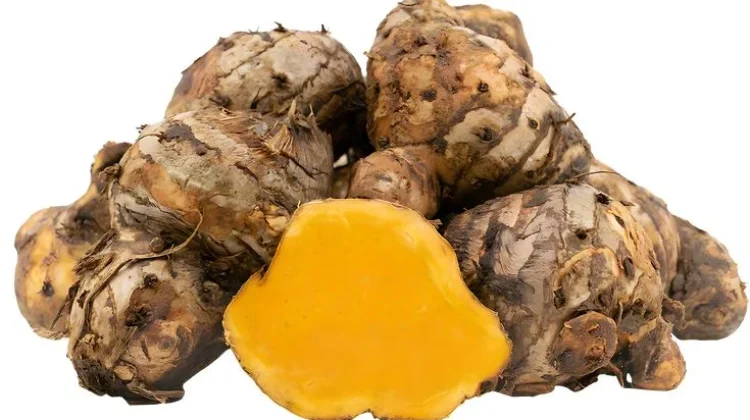 Temulawak, Herbal Nusantara Berpotensi Menjaga Kesehatan Hati dan Nafsu Makan