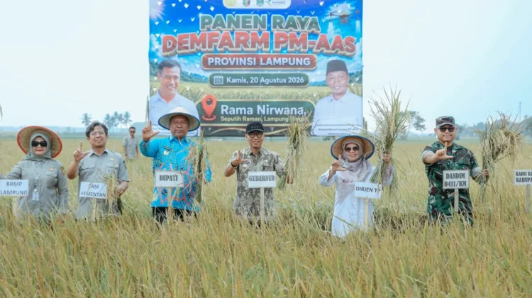 Panen Raya Demfarm PM-AAS Lampung Capai Produktivitas 11,2 Ton per Hektare