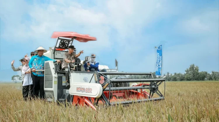 Kementan Apresiasi PM-AAS Lampung, Produktivitas Padi Tembus 11,2 Ton per Hektare