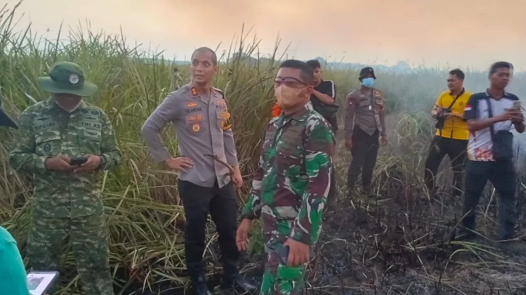 Karhutla TN Way Kambas Berhasil Dipadamkan, Personel Gabungan Lakukan Pembasahan
