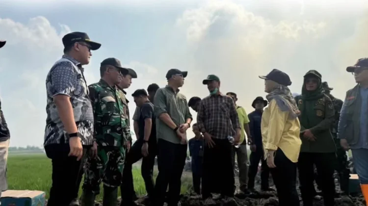 Ketua DPRD dan Gubernur Lampung Tinjau Kebakaran Hutan di Lampung Timur