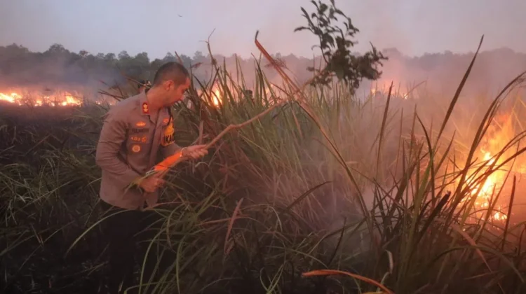 673 Hektare Lahan Terbakar di Kawasan Taman Nasional Way Kambas