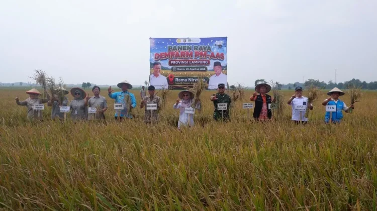 PLN Perkuat Program Listrik Masuk Sawah, Pengairan Pertanian Makin Efisien