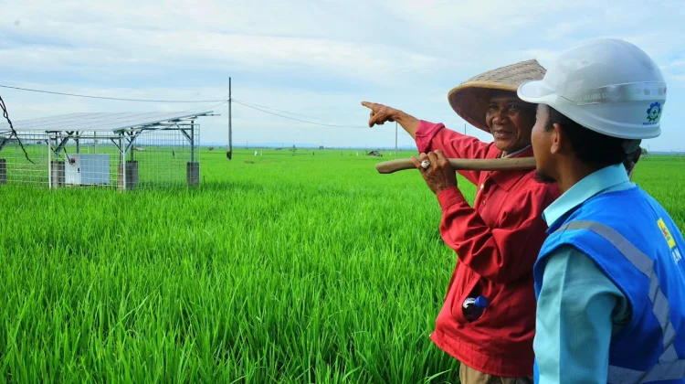 Kolaborasi Pemerintah dan PLN Dorong Perluasan Pertanian Modern di Lampung