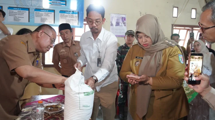 Pemkab Pringsewu Salurkan Bantuan Pangan Beras Tahap II kepada 55.048 Penerima