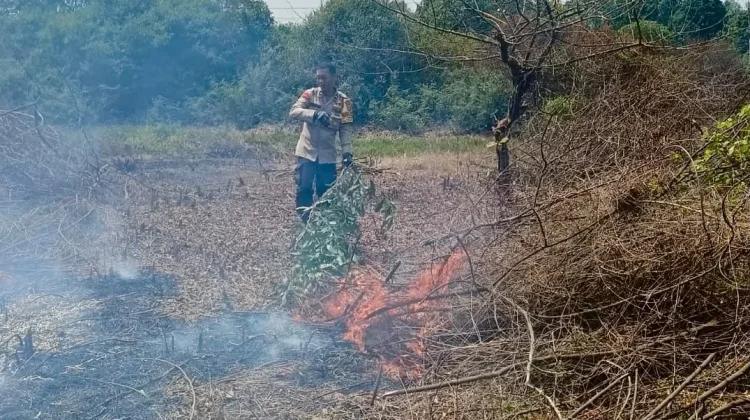 Lahan di Pinggir Jalinpantim Terbakar, Api Berhasil Dipadamkan