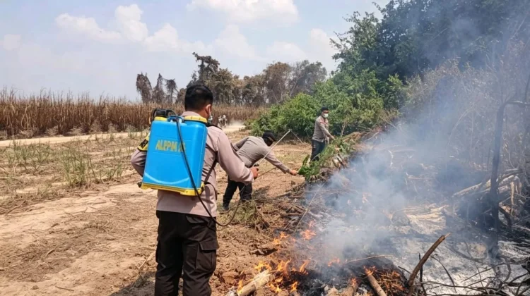 Kolaborasi Polres Mesuji Padamkan 51 Titik Api Lahan