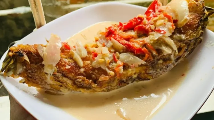 Pekhos Pati, Kuliner Tradisional Lampung dengan Cita Rasa Gurih dan Khas