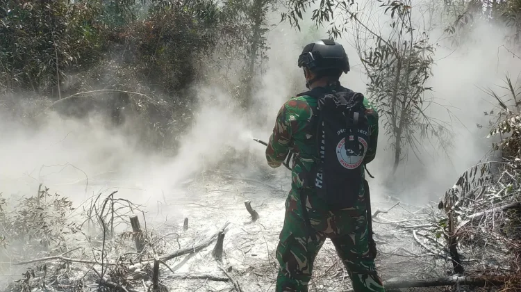 Diterjunkan dari Udara, 40 Personel Tim Alfa TNI Padamkan Hotspot di Way Kambas