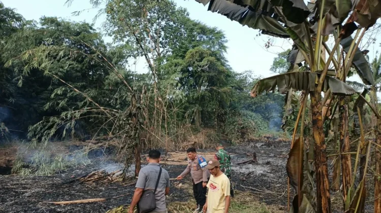 Api Bakar Lahan di Sidomulyo, TNI dan Polisi Padamkan Secara Manual