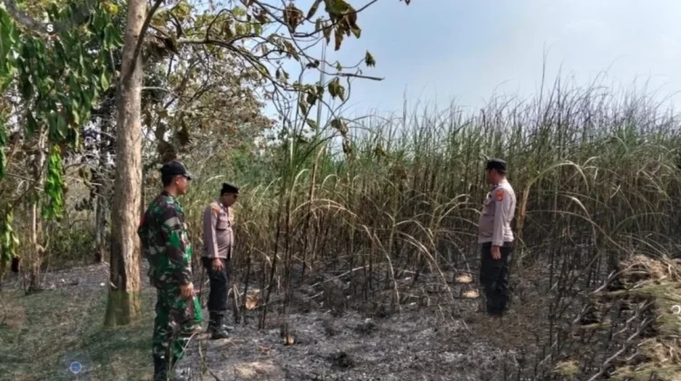 Cegah Karhutla, Polsek Bunga Mayang Cek Hotspot di Empat Lokasi