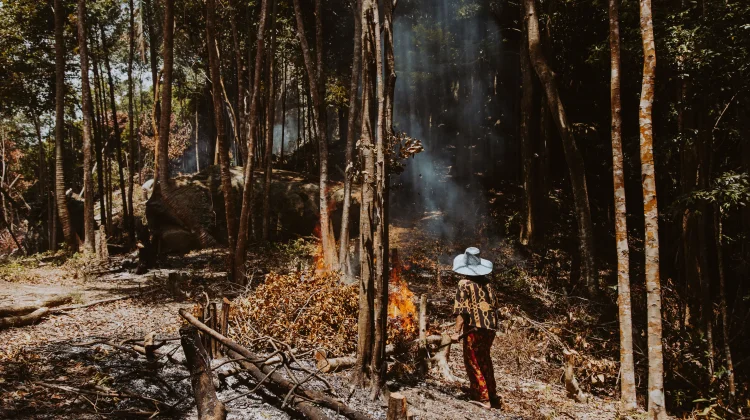 Peran Masyarakat dalam Mencegah Kebakaran Hutan dan Lahan