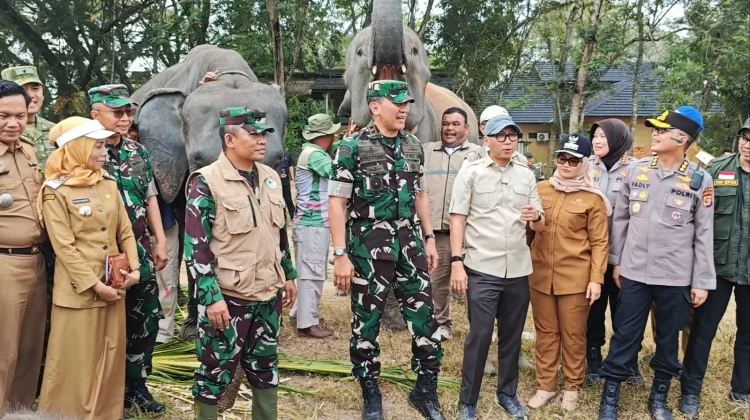 Kunjungi TNWK, Gubernur dan Pangdam Pastikan Gajah Tidak Terdampak Kebakaran