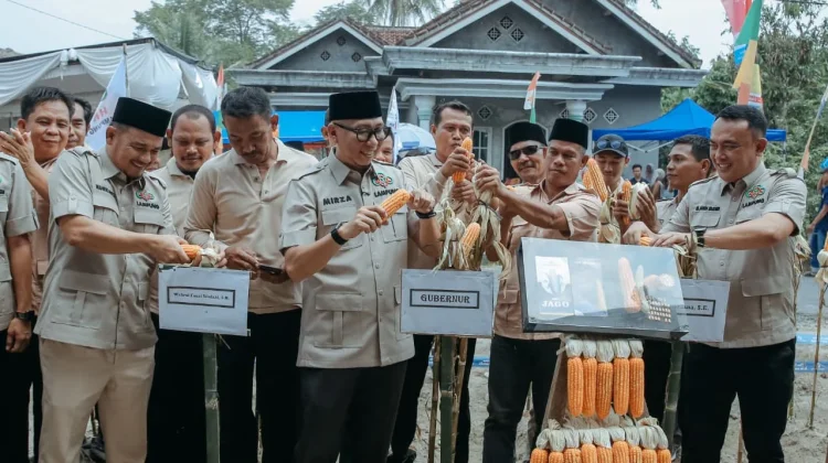 Dorong Hilirisasi Jagung, Pemprov Lampung Siapkan Dryer Kapasitas 20 Ton