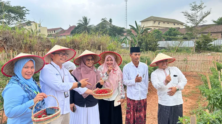 Panen Cabai Perdana , BI dan Polinela Dorong Pesantren Jadi Penggerak Ekonomi Umat